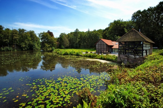 Benvenuti nel Parco Naturale tedesco-olandese Maas-Swalm-Nette